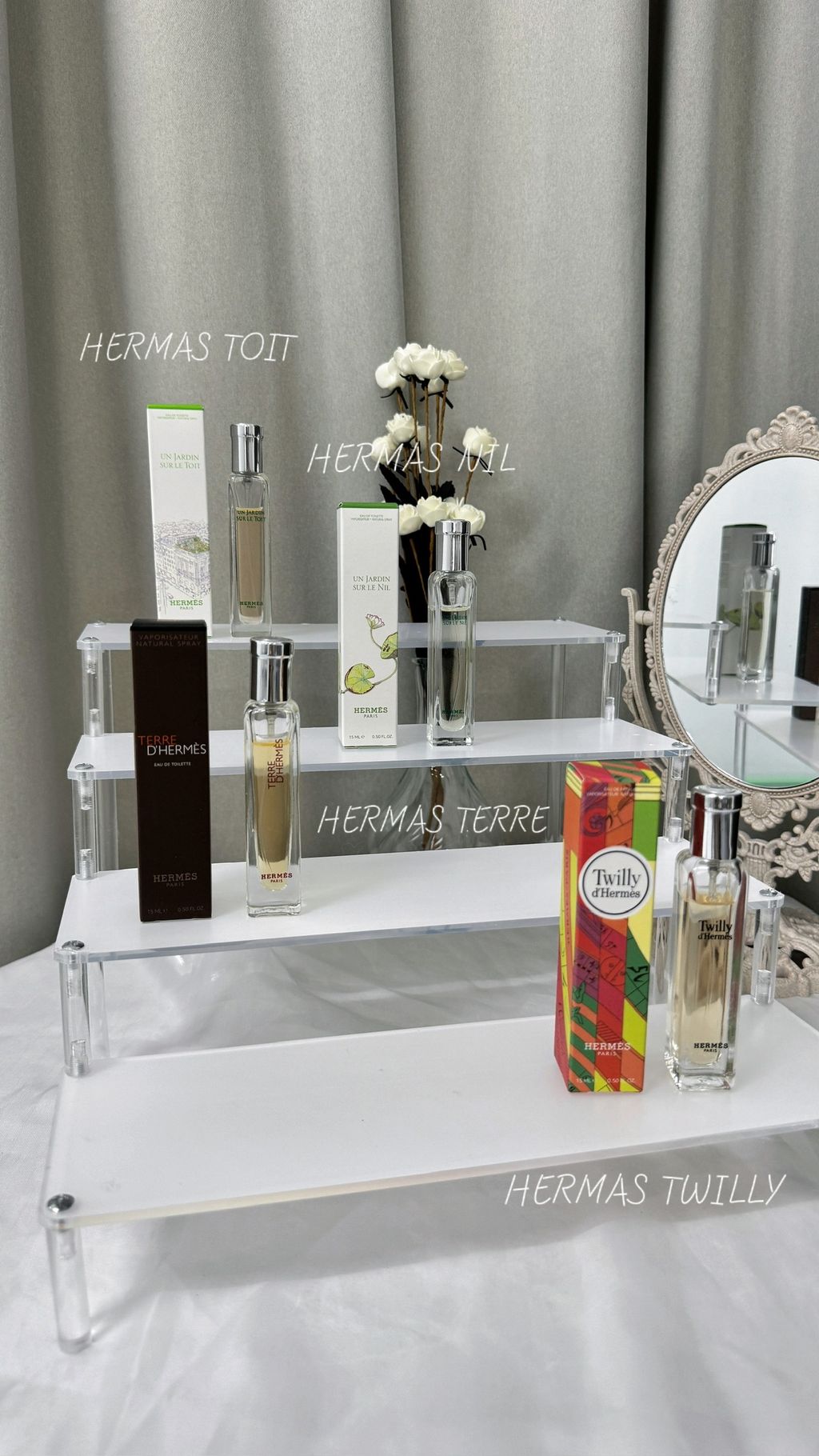 mmexport1740148237485