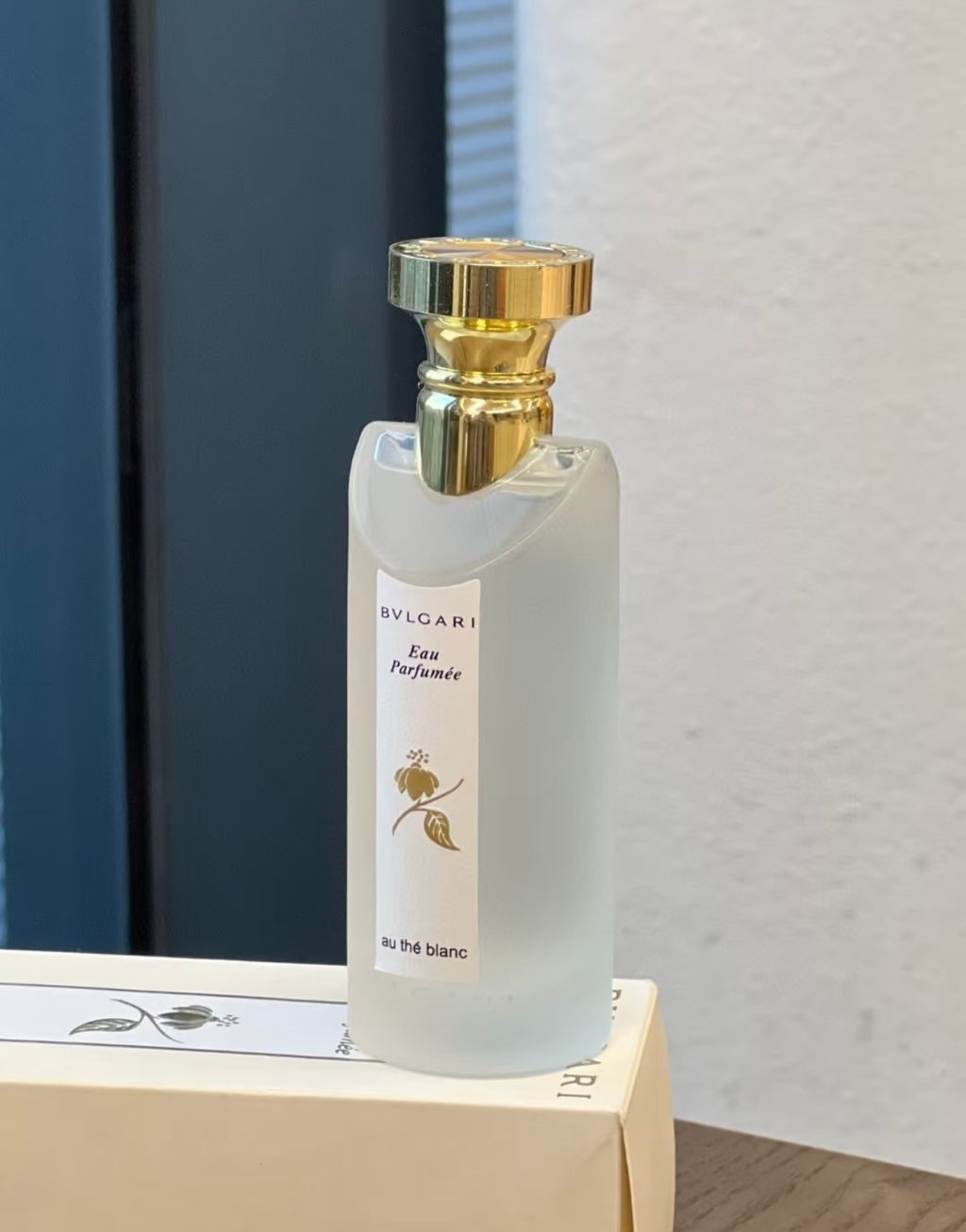 image_BAD1BA6D-B902-46DC-8F3E-CAD7A94806DB_1740928106