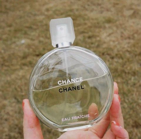 image_835A4CEF-6527-44CE-9614-1A334C376F5F_1741260307