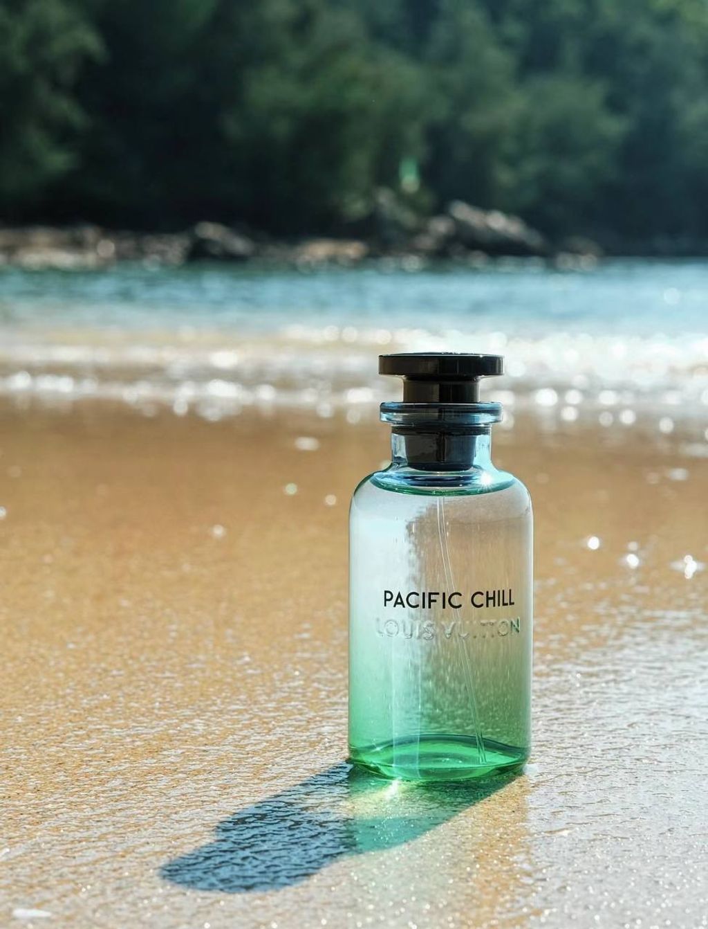 image_A2092CE9-5158-479E-877A-A9C7251B6CB4_1741261416