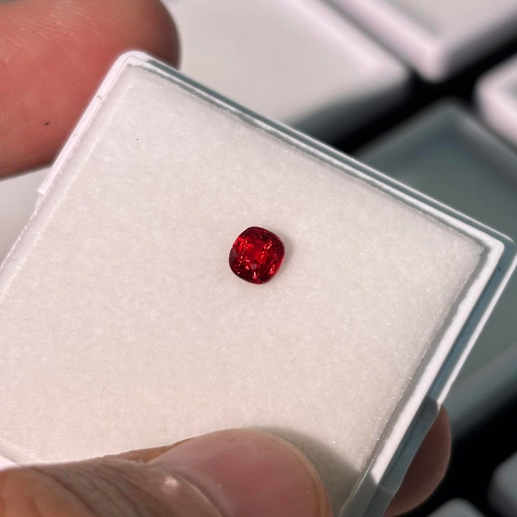 aa4859ee-07d0-42cf-99fd-50e3dcf0957e