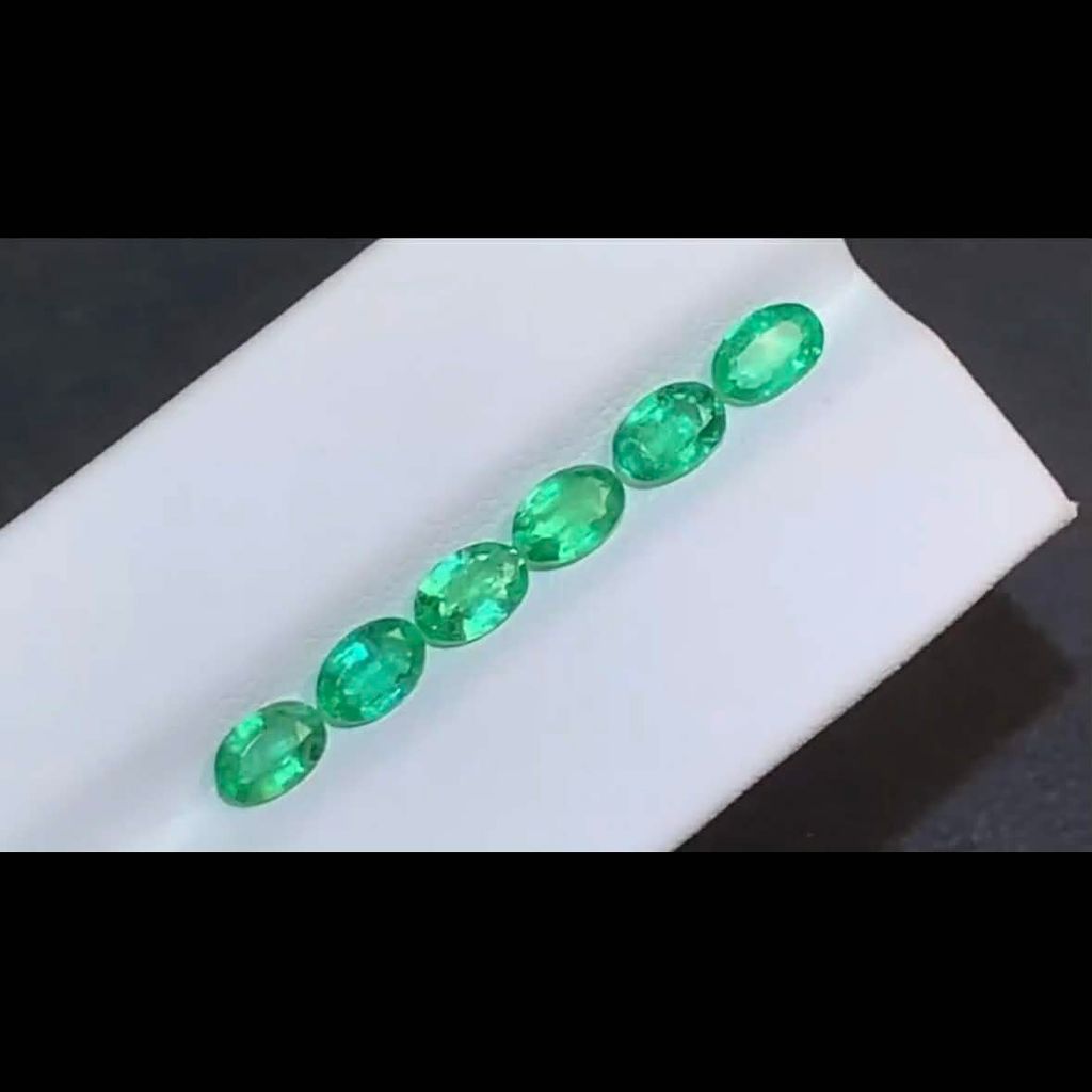 88f05023-26b0-4aed-b02a-69f7a4a7afab