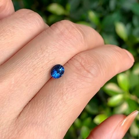 021b3dcf-5ca1-4600-8ac7-a94328449554