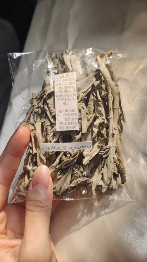 IMG_20231102_165146_509