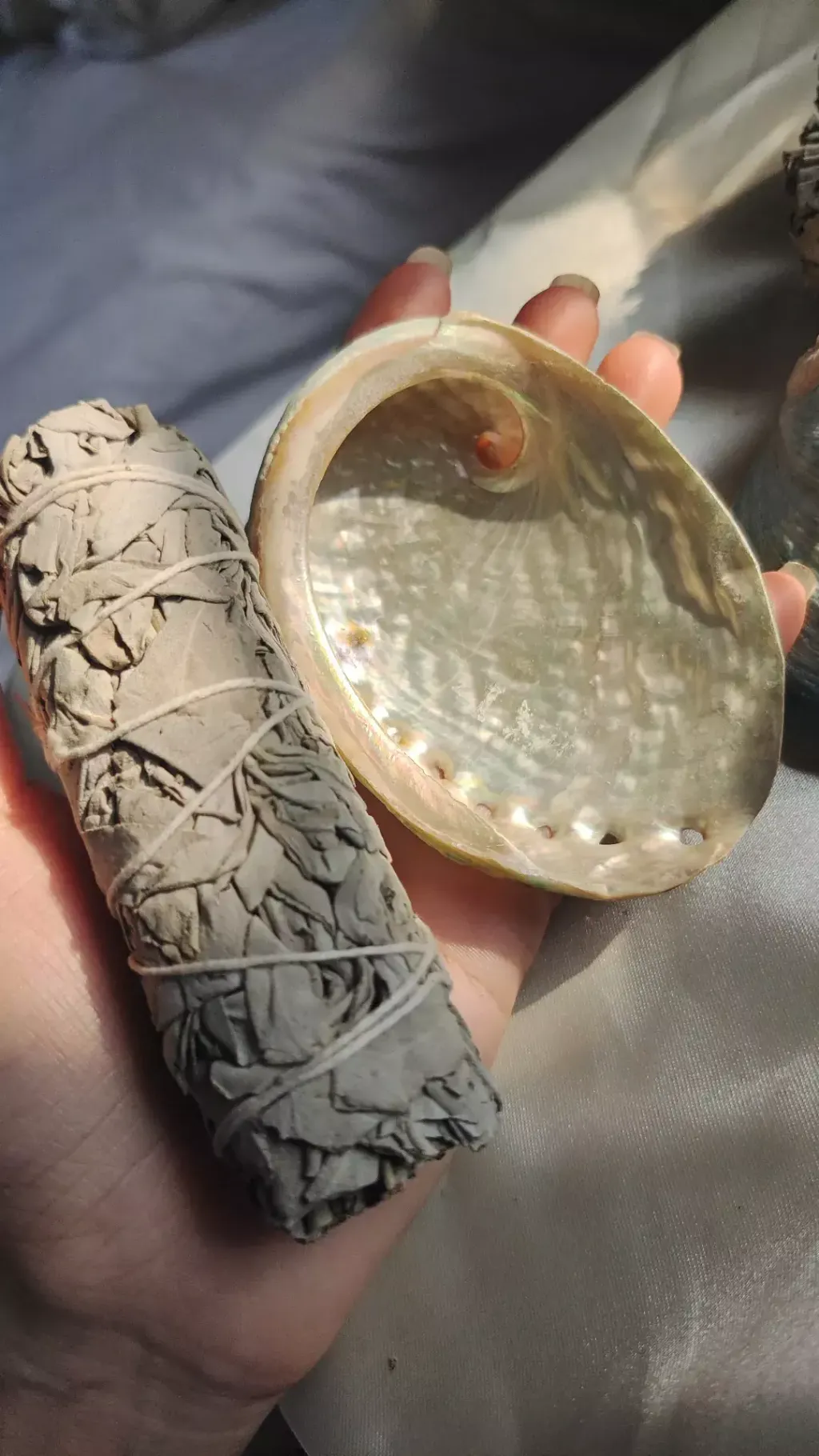 IMG_20231102_165439_774