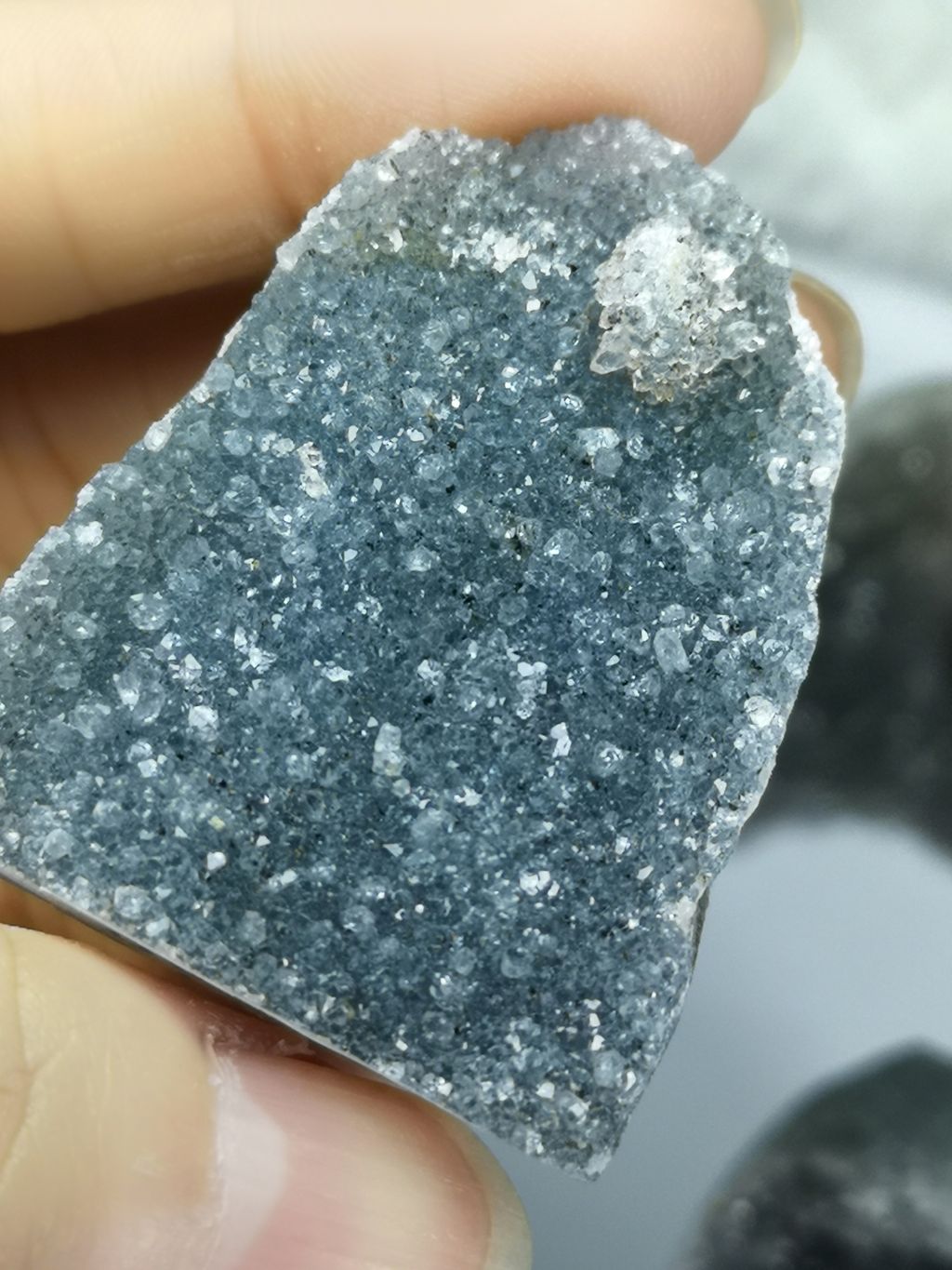 IMG_20231015_142645-01