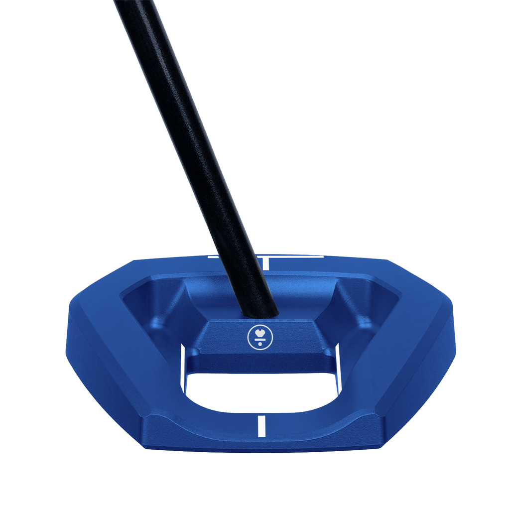 VznBlueC1a