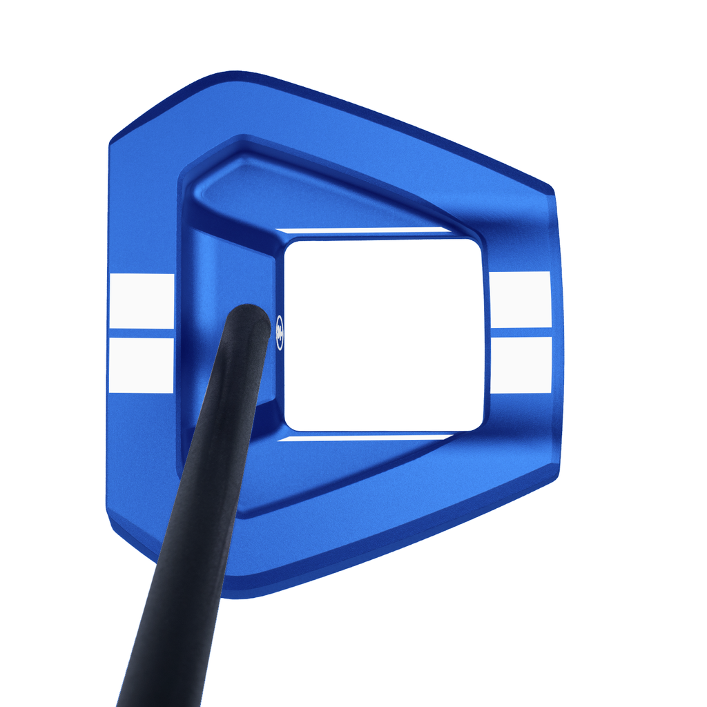 VznBlueW11a