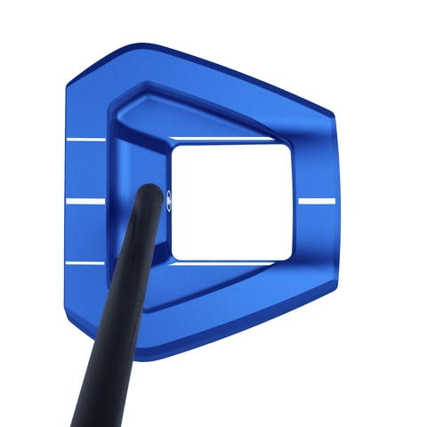 VznBlueE1a