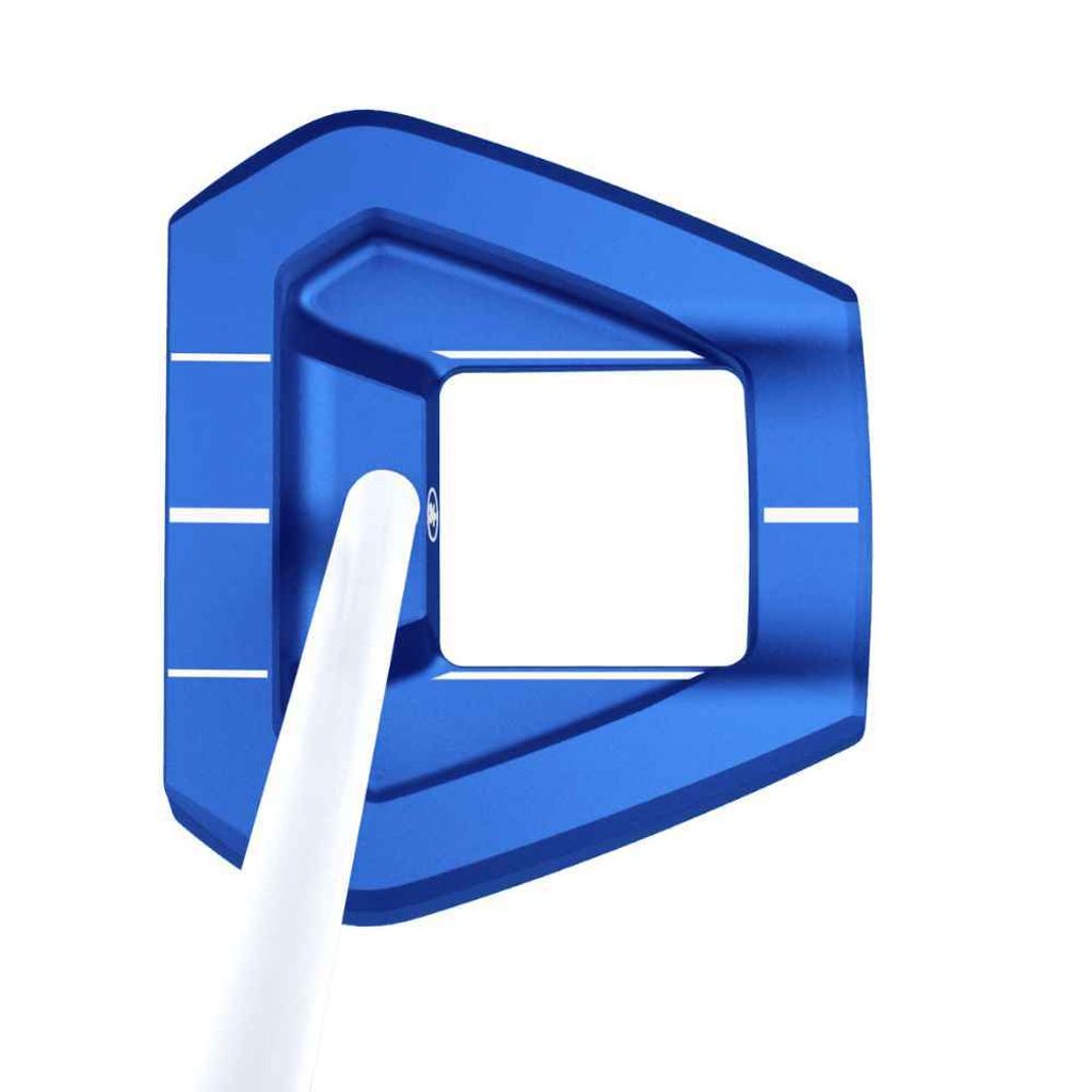 blueE1a