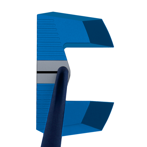 b1
