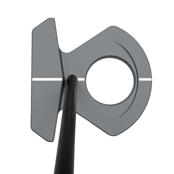 t1