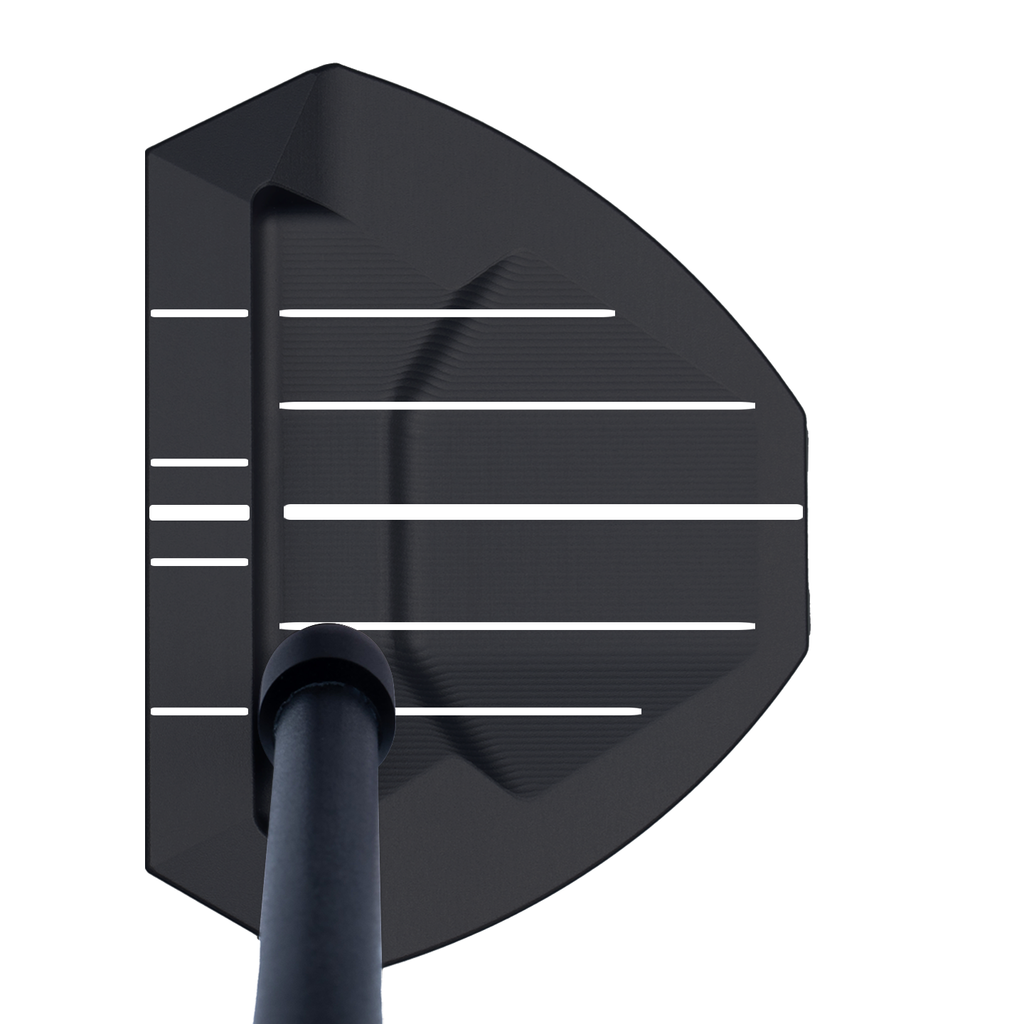 Z 16 -1