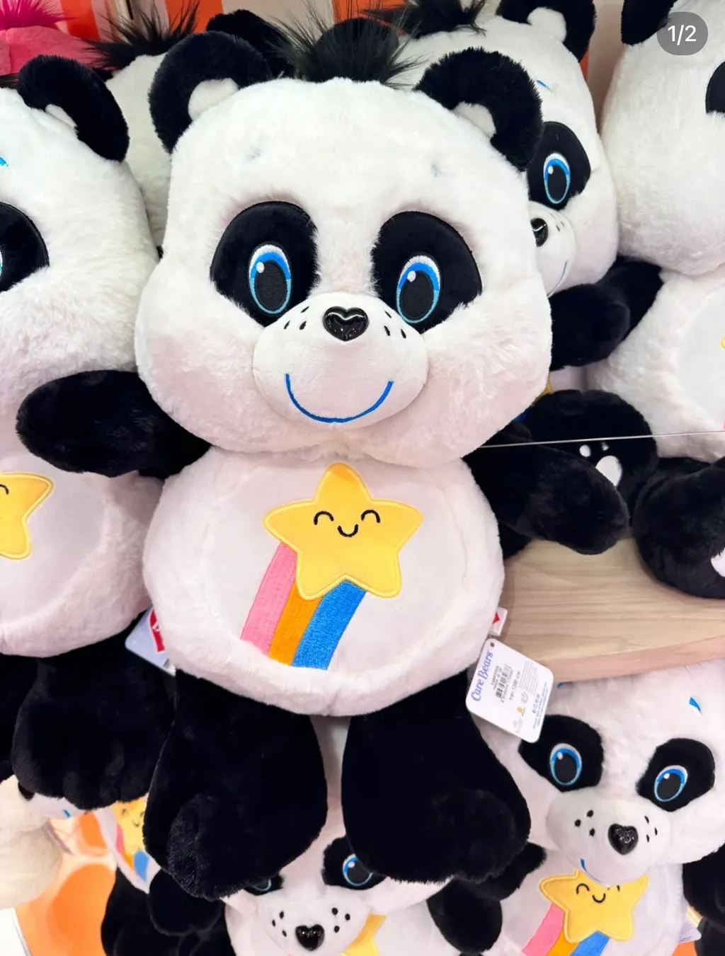 IMG_1706-1706421416170