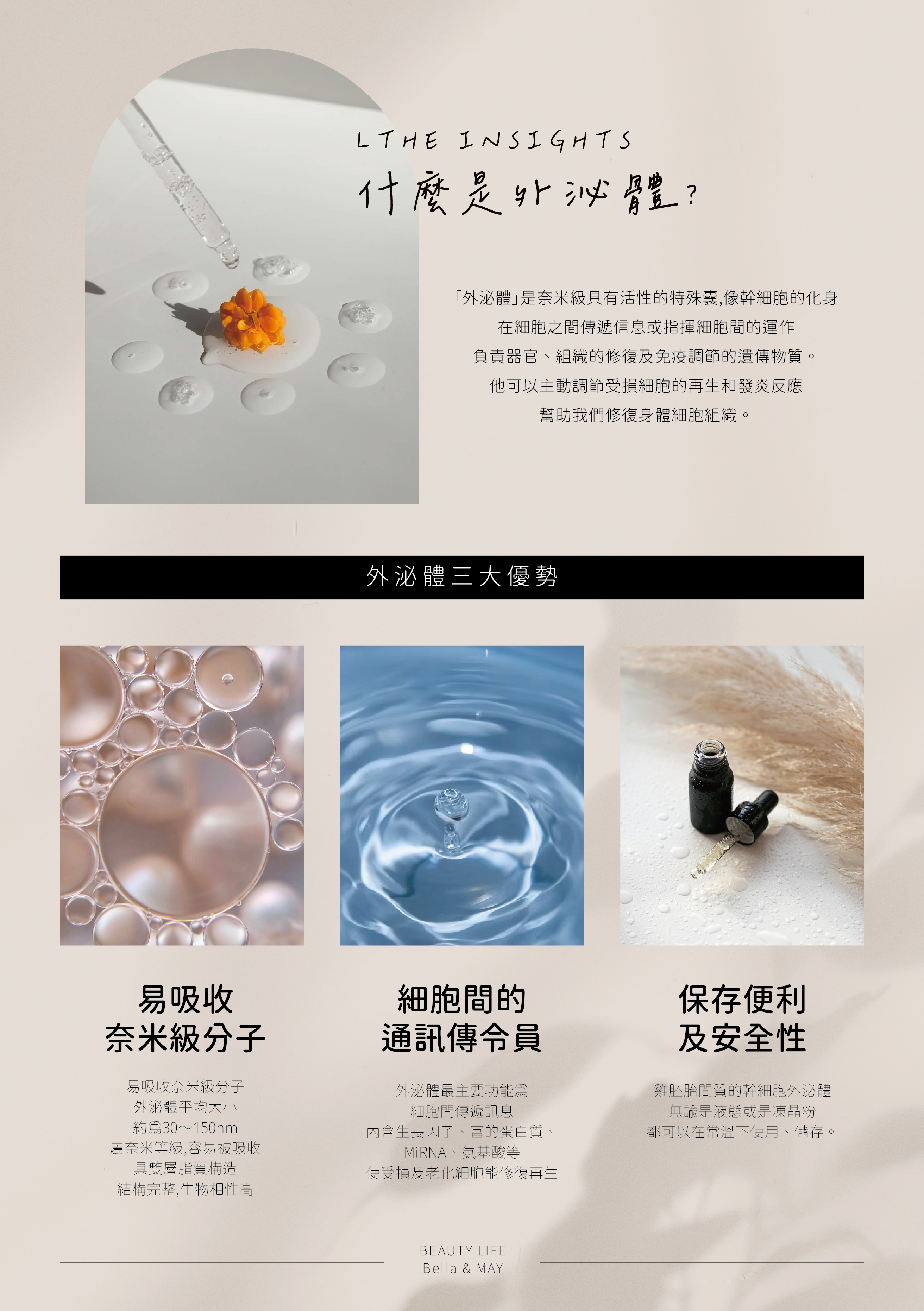 Bella 官網-02