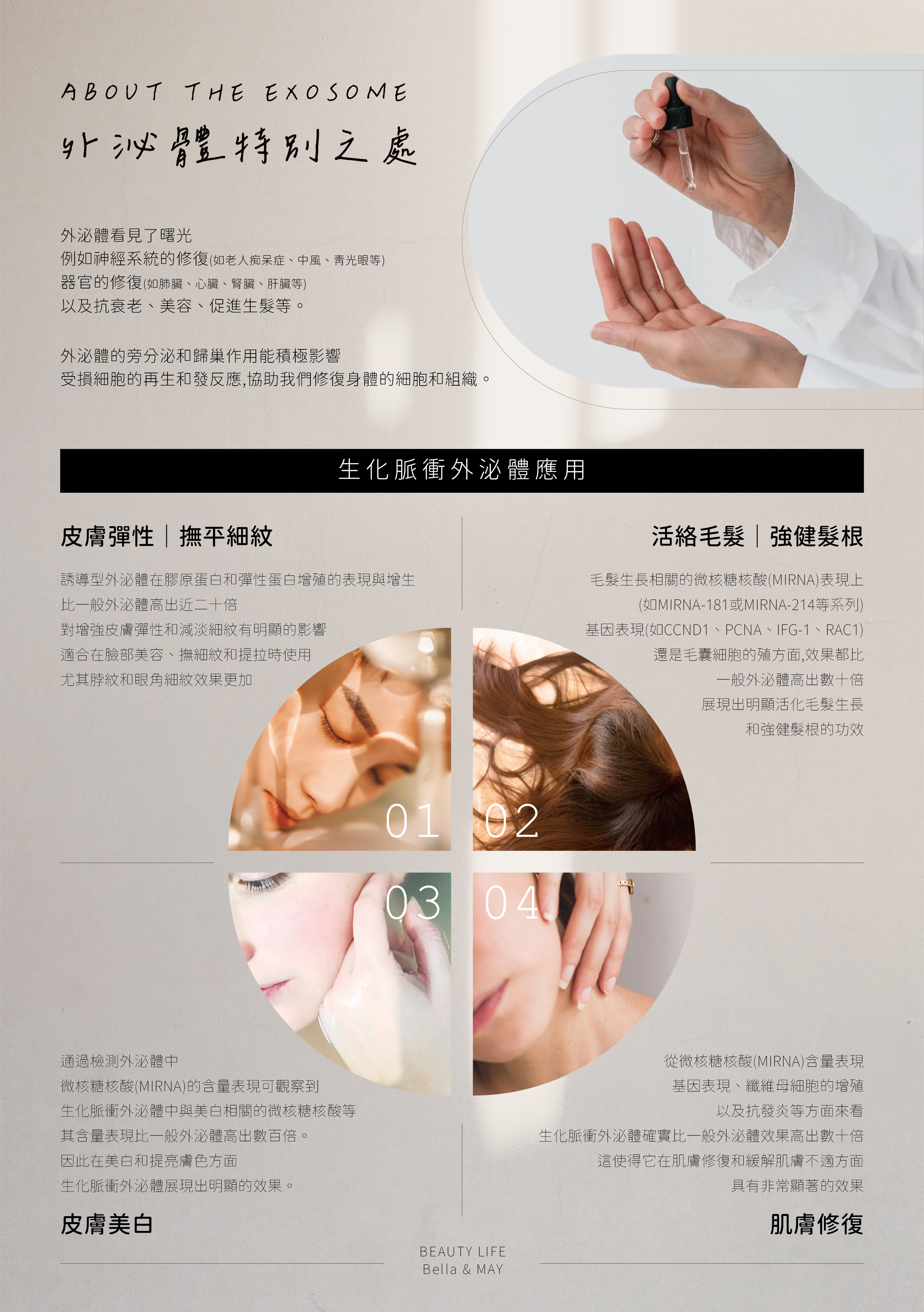 Bella 官網-03