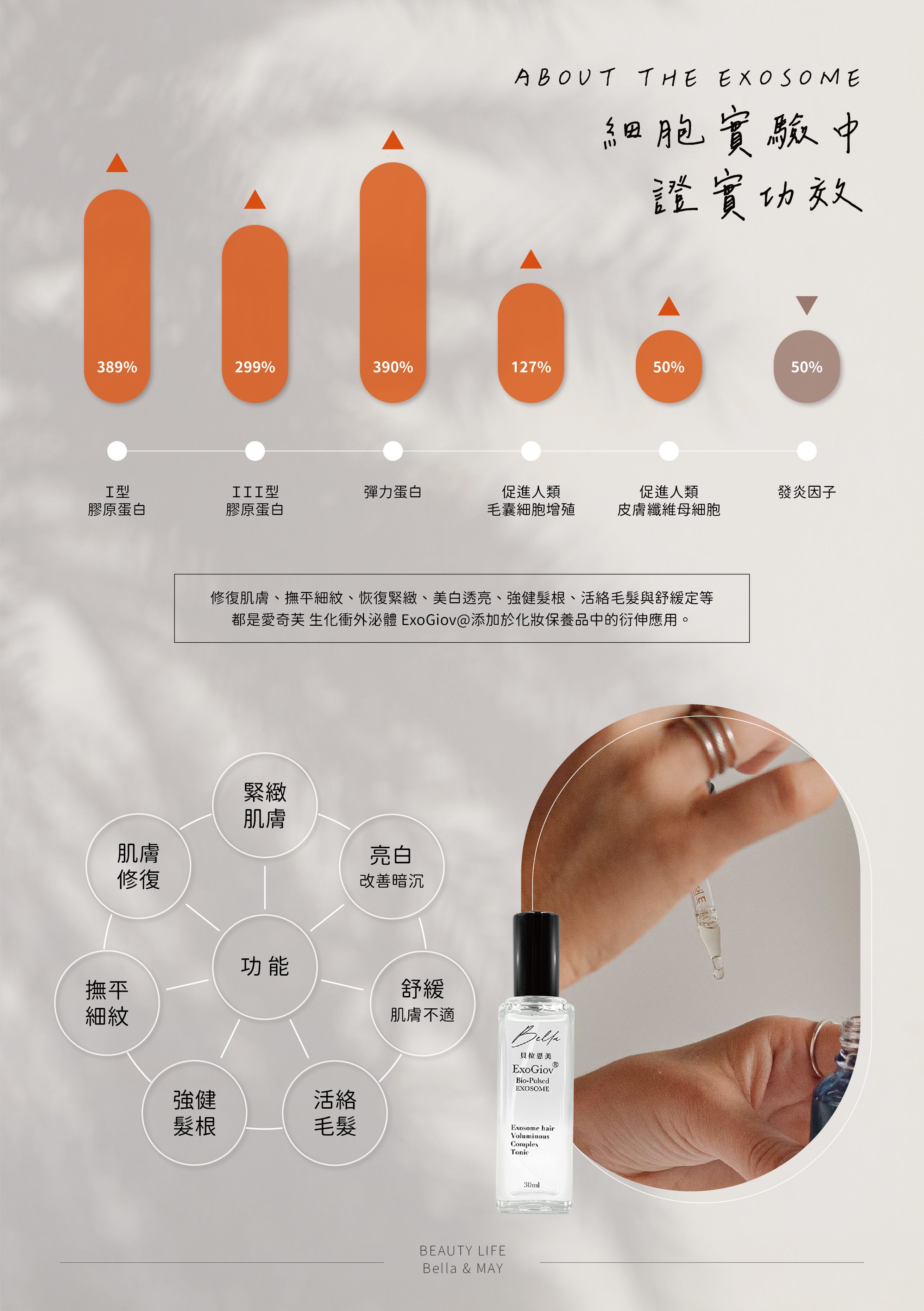 Bella 官網-04