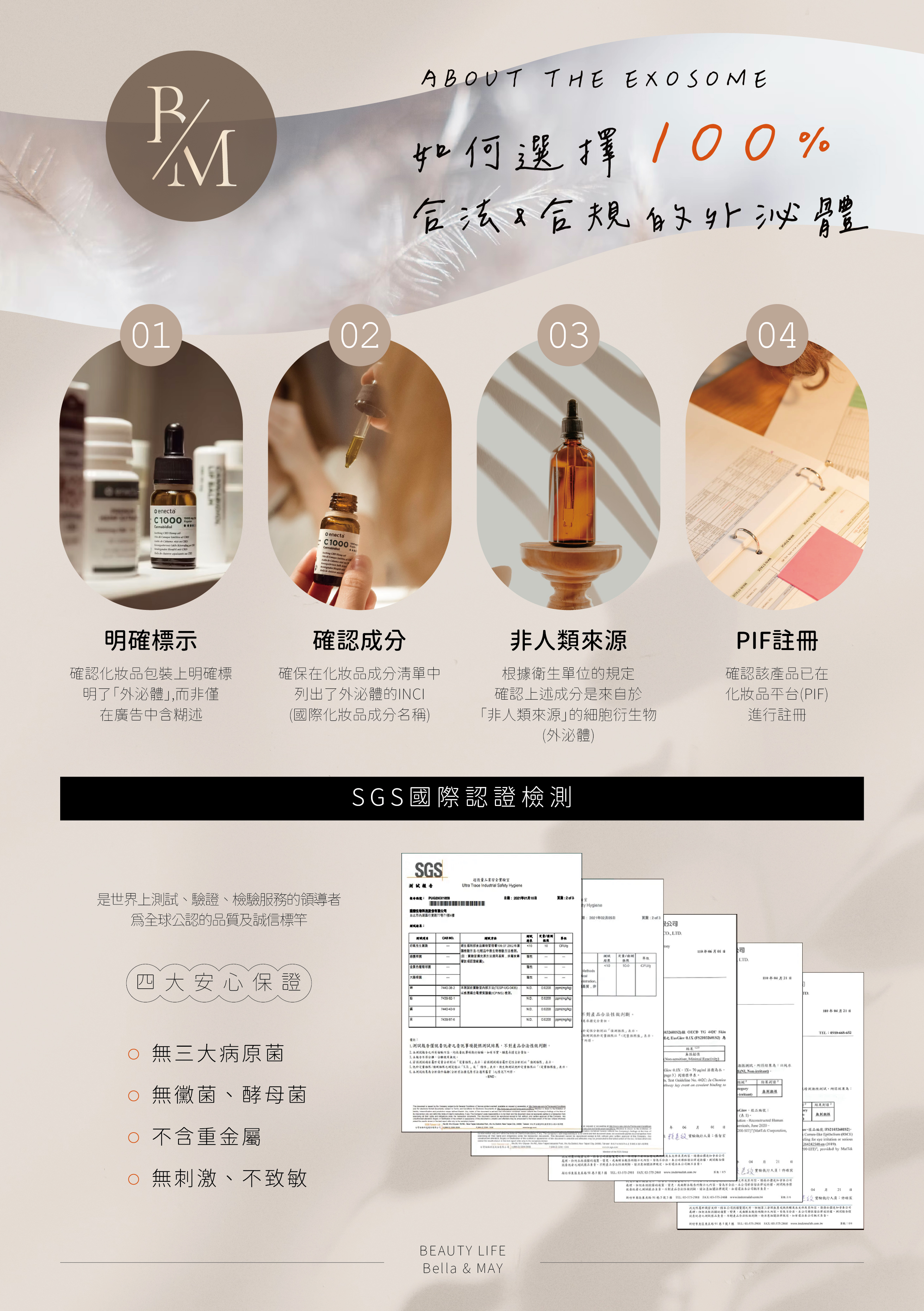 Bella 官網-06