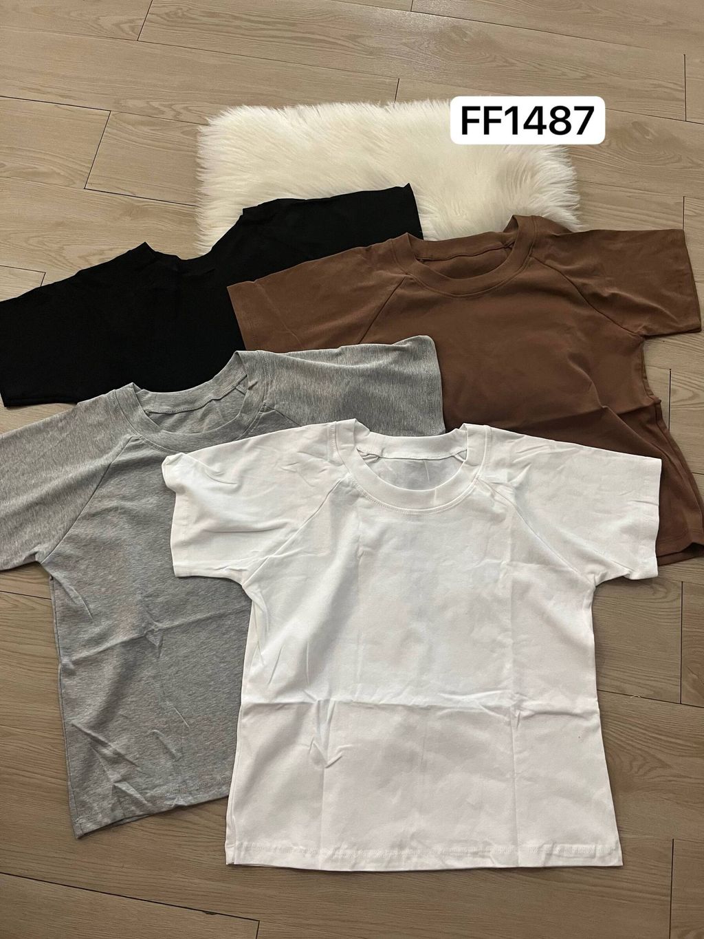 image_444CC855-12B3-487D-8C11-4490D59C05AF_1753169098