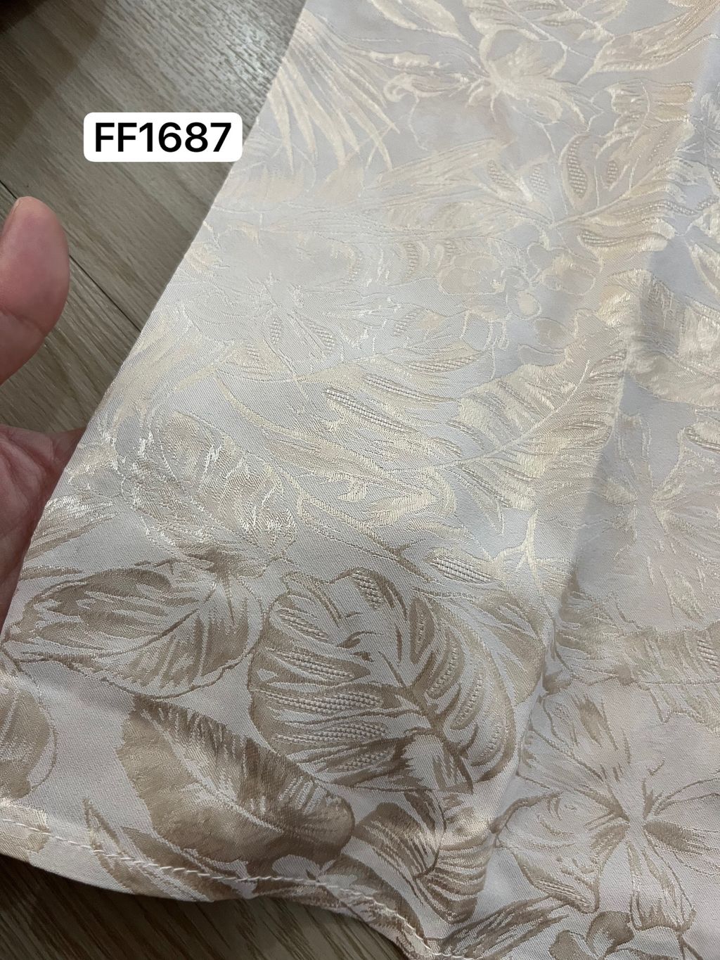 image_58A8A548-09BC-4F1F-A953-474ABF307FA8_1764147802