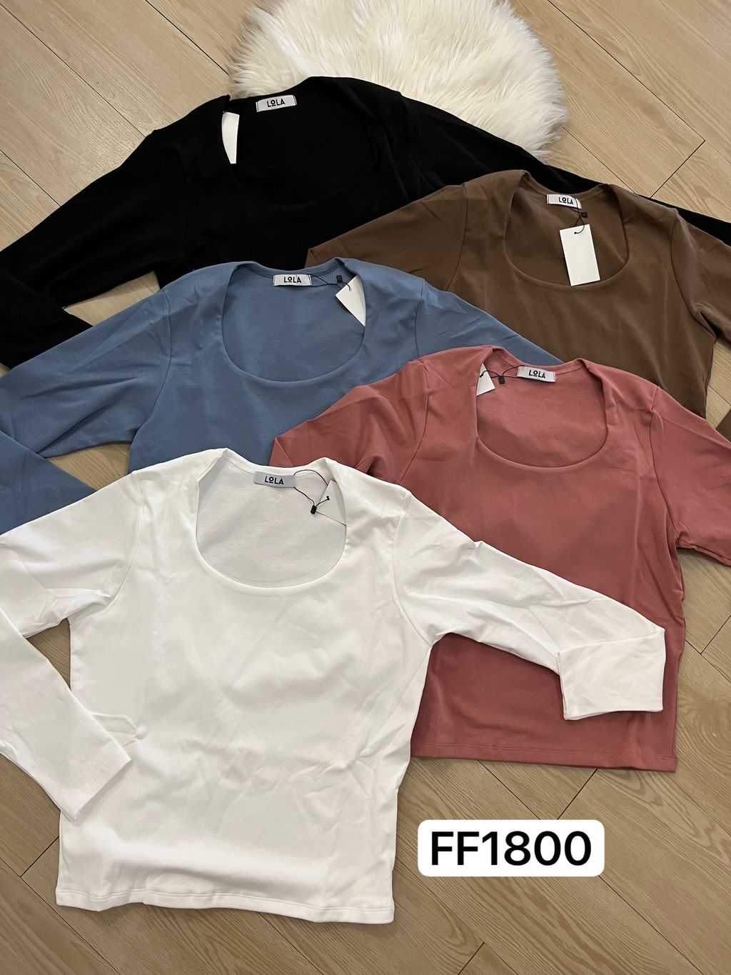 image_A2103BF7-CB43-4A0C-9D52-FEFB6BD755B0_1769438869