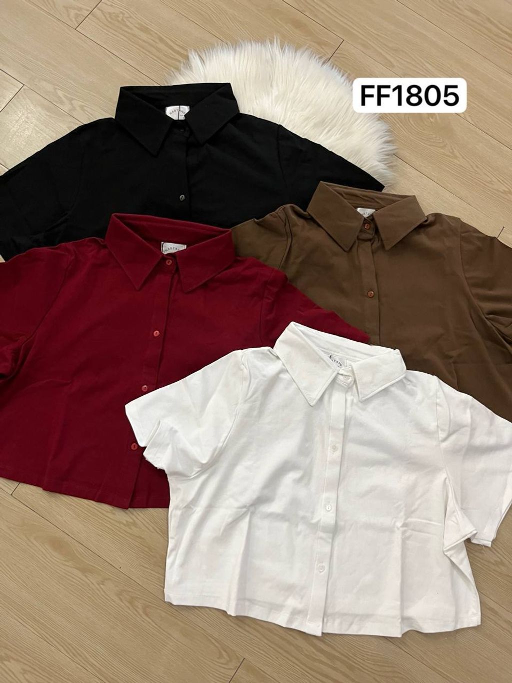 image_65A08A07-4FCC-47E2-B275-D39845FF417A_1769527186