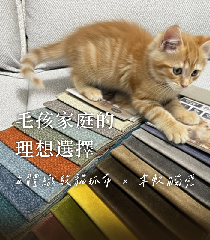  | 墨爾家居 MORE CASA