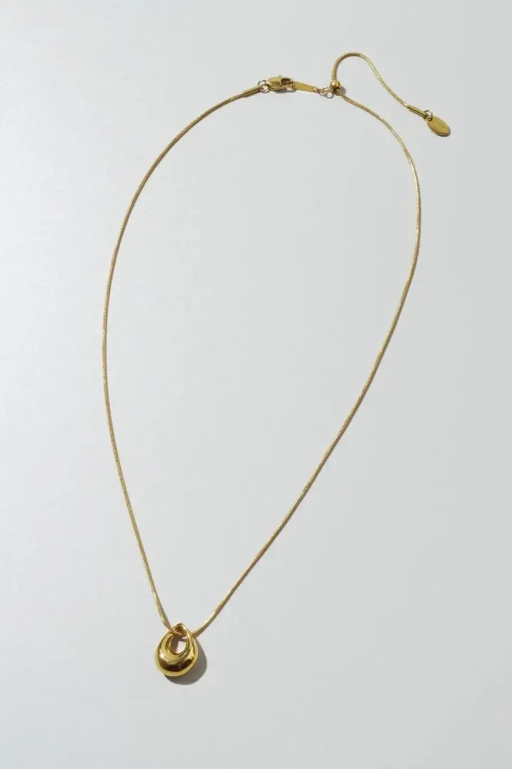 image_B96D716F-D007-43F4-8409-B7E73B397D7A_1772628378