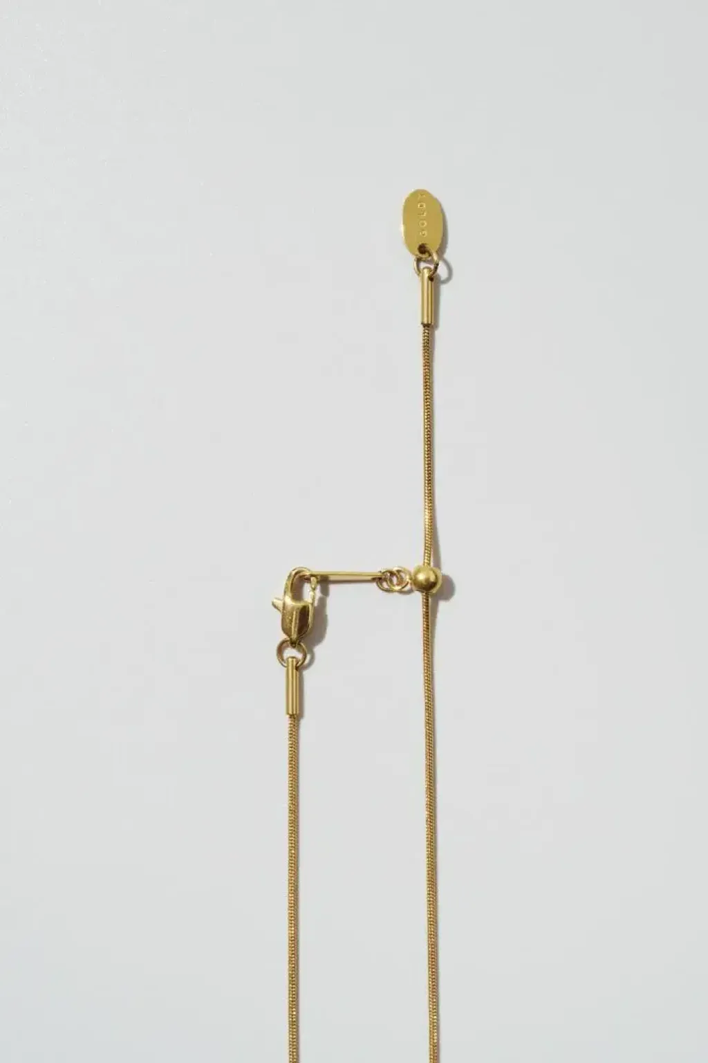 image_BCC31955-B12E-4E1A-A2FC-4D21E5B09C44_1772628378