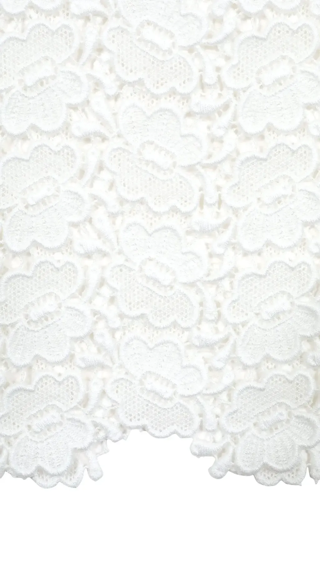 image_2322EB3E-AA7E-4C66-BAD2-6599CF073E9B_1775833066