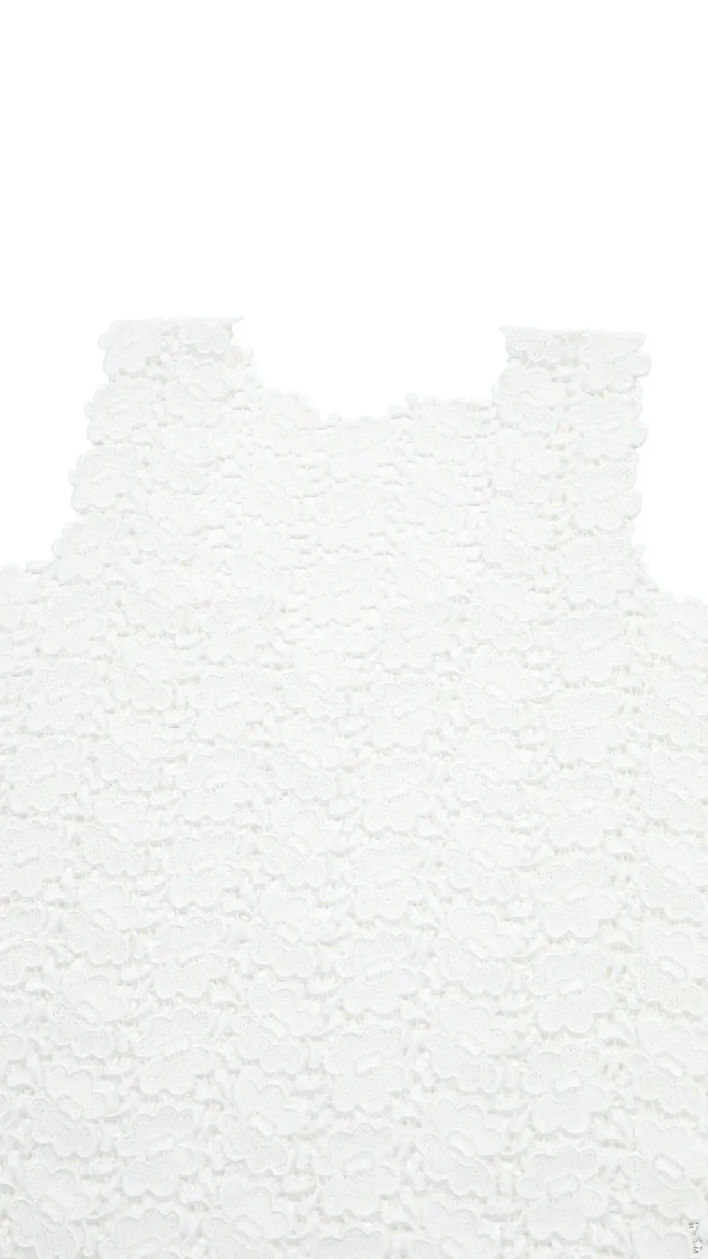 image_6CC5A39A-1D5A-473B-9687-762C7CA7C5E2_1775833066