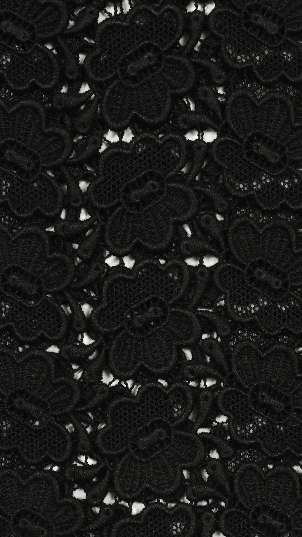 image_B83FA7DE-9A79-4735-9E2A-641E1F83E0BE_1775833066