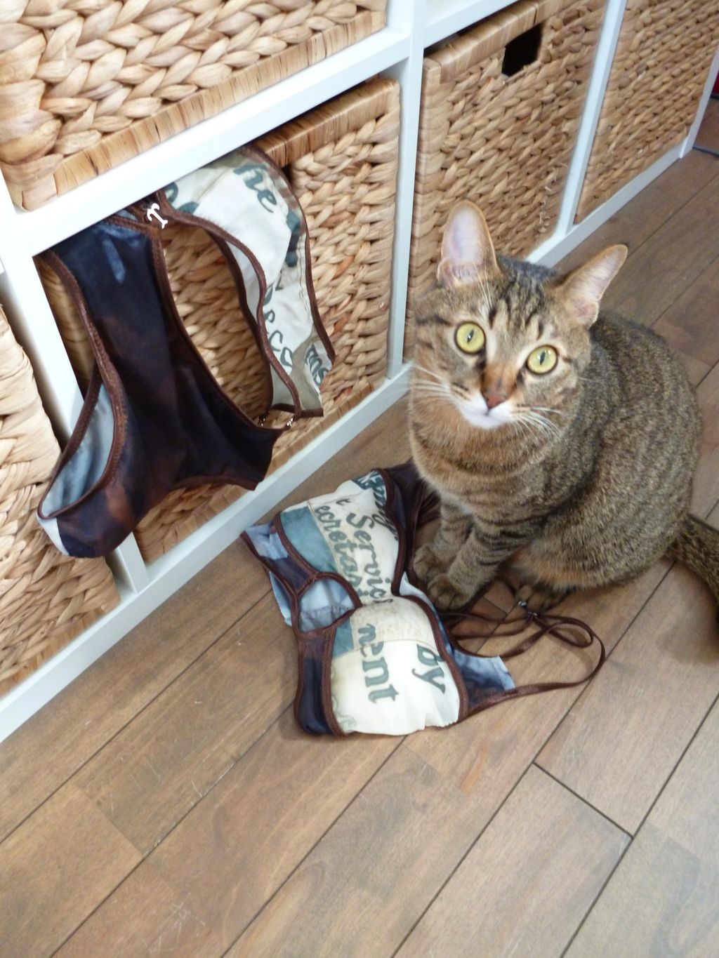 image_5DC526B1-F40E-41C4-BCE0-7C34DA3FF95E_1776005890