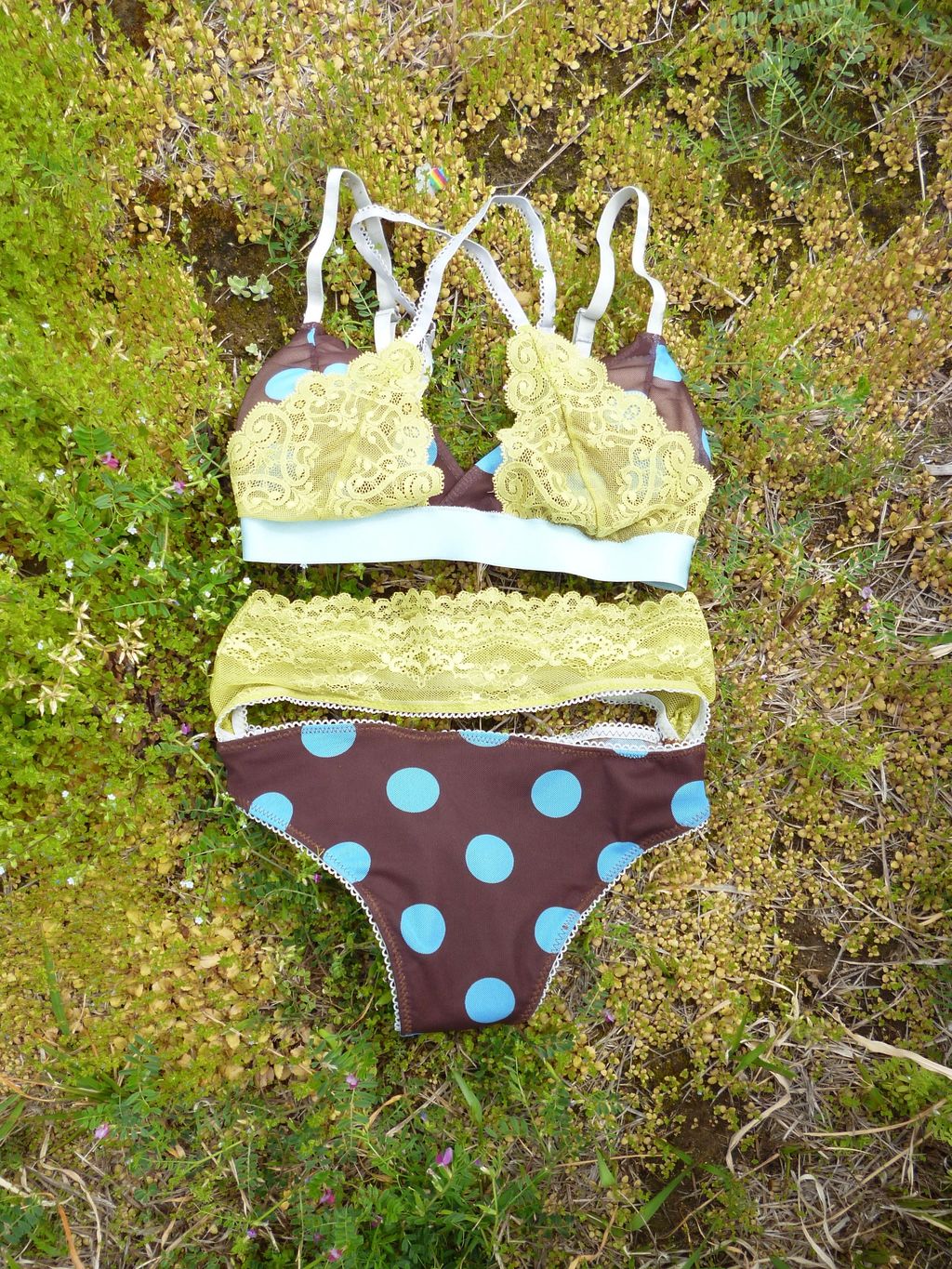 image_06BD7A43-D04F-4016-966D-D60E8D38C56F_1776005985