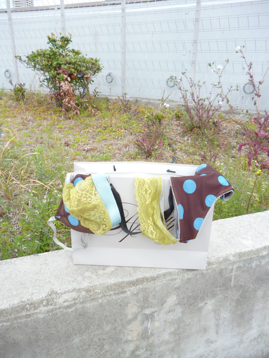 image_799F5A6D-5867-4620-BAAE-194BDE16D83B_1776005985