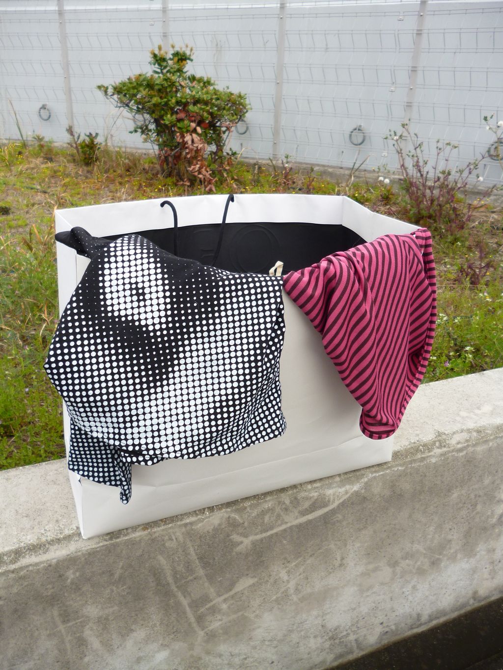 image_1234F445-A8E3-4905-8109-8322AD213A9A_1776006300