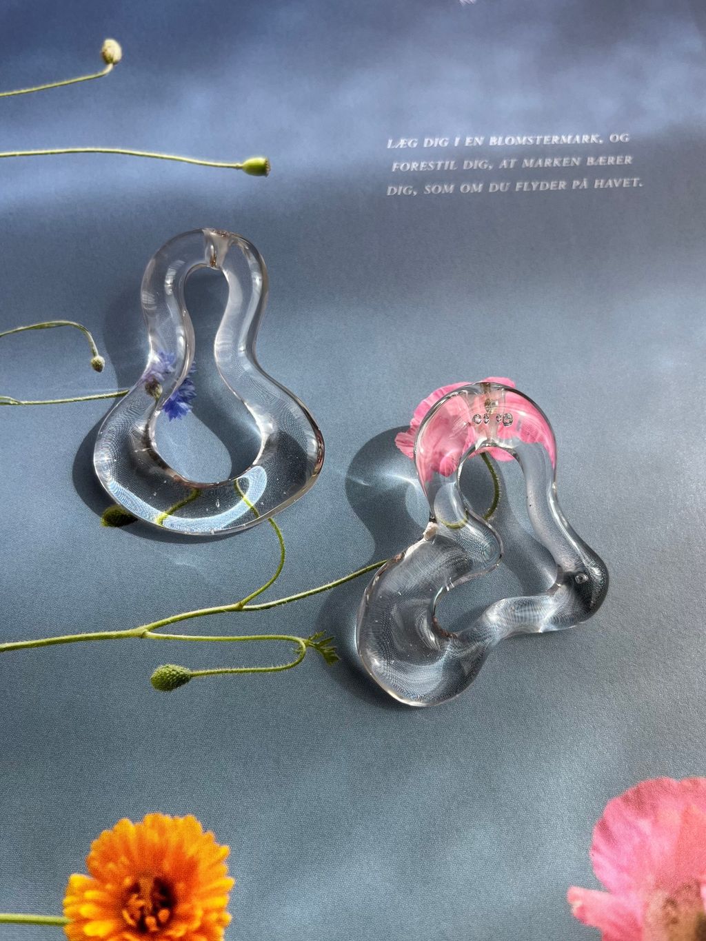 image_CDB94CED-BD6D-4AF1-9DF5-9A207FF41C2B_1776260082