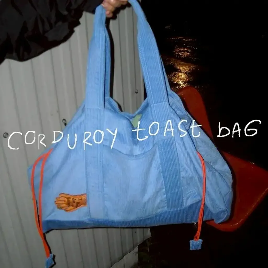 image_A0A896CB-249A-41FA-945B-7ED4B18BEE94_1762750216