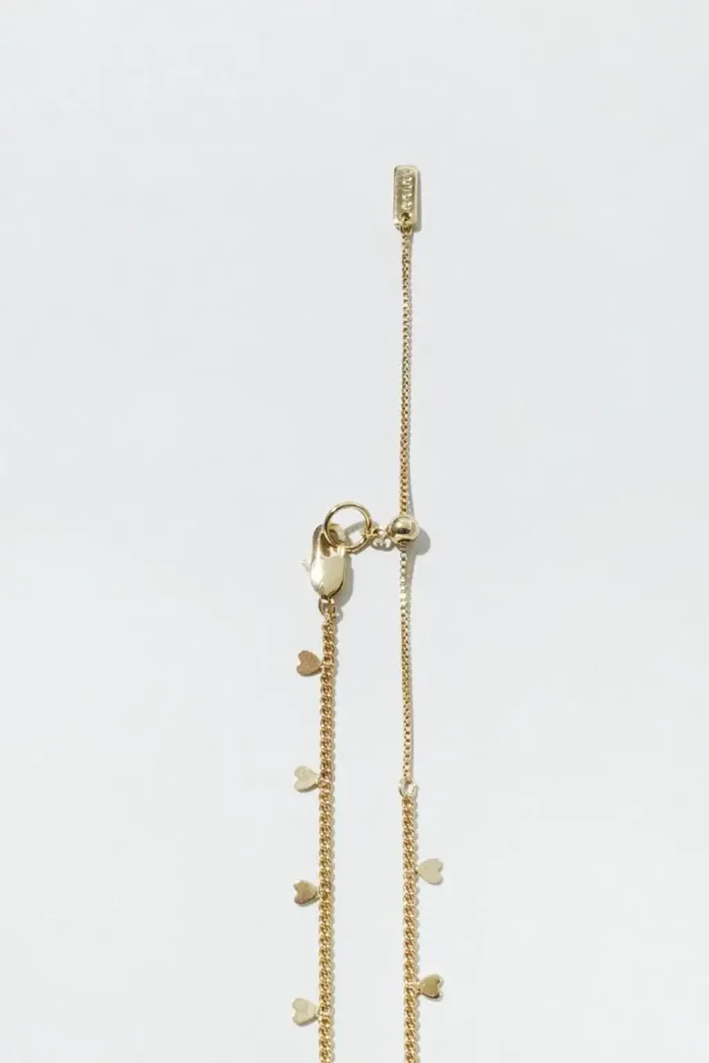 image_716DFEDB-0E99-4E78-8233-BAE5387A3610_1763355890