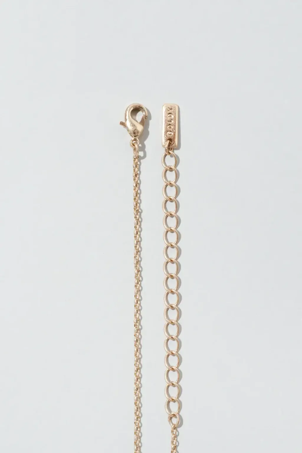 image_D698841A-078D-4343-91DE-94CB56F22744_1763886844