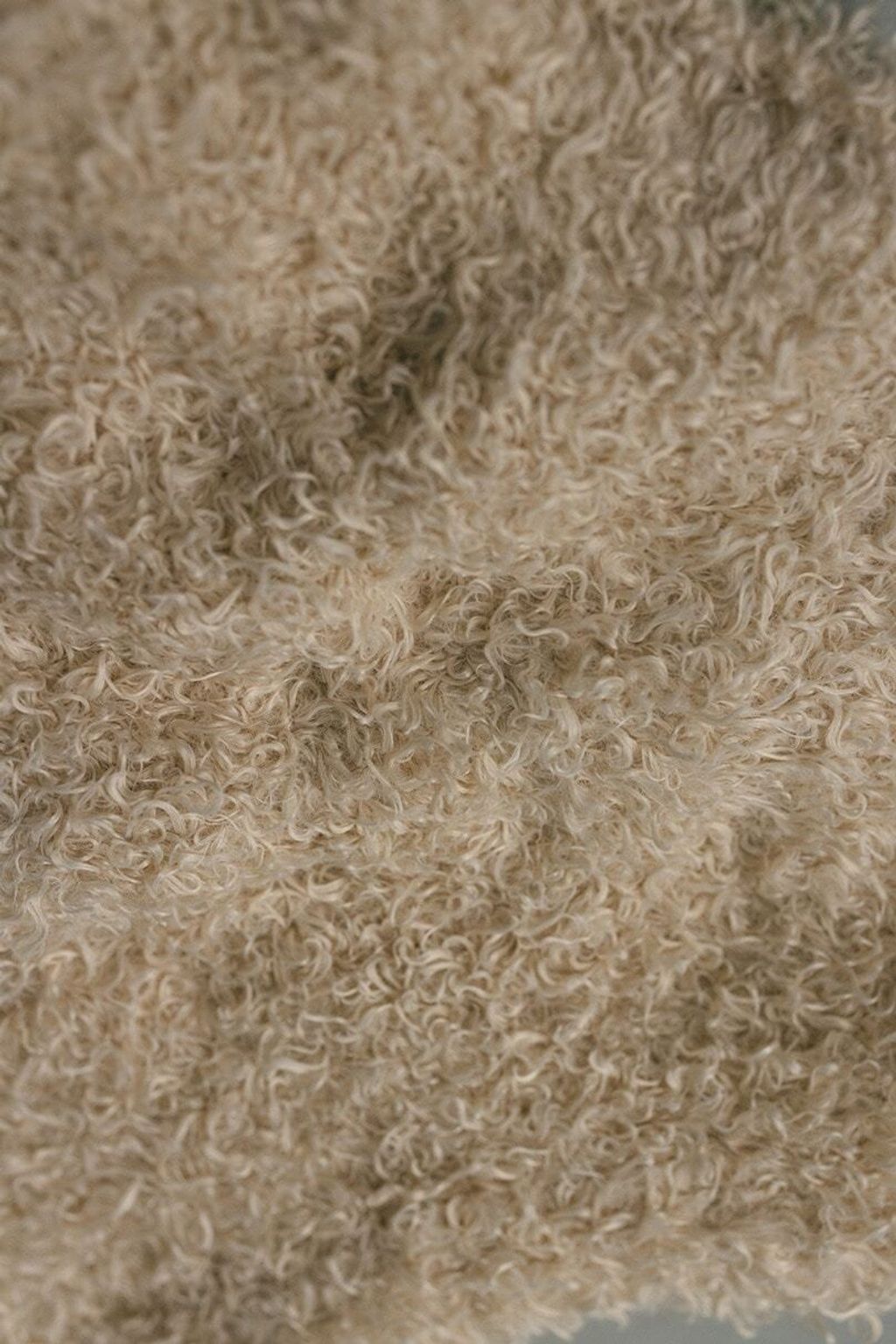 image_F07CC924-8FE6-4E9B-89F7-089676A0939D_1763991609