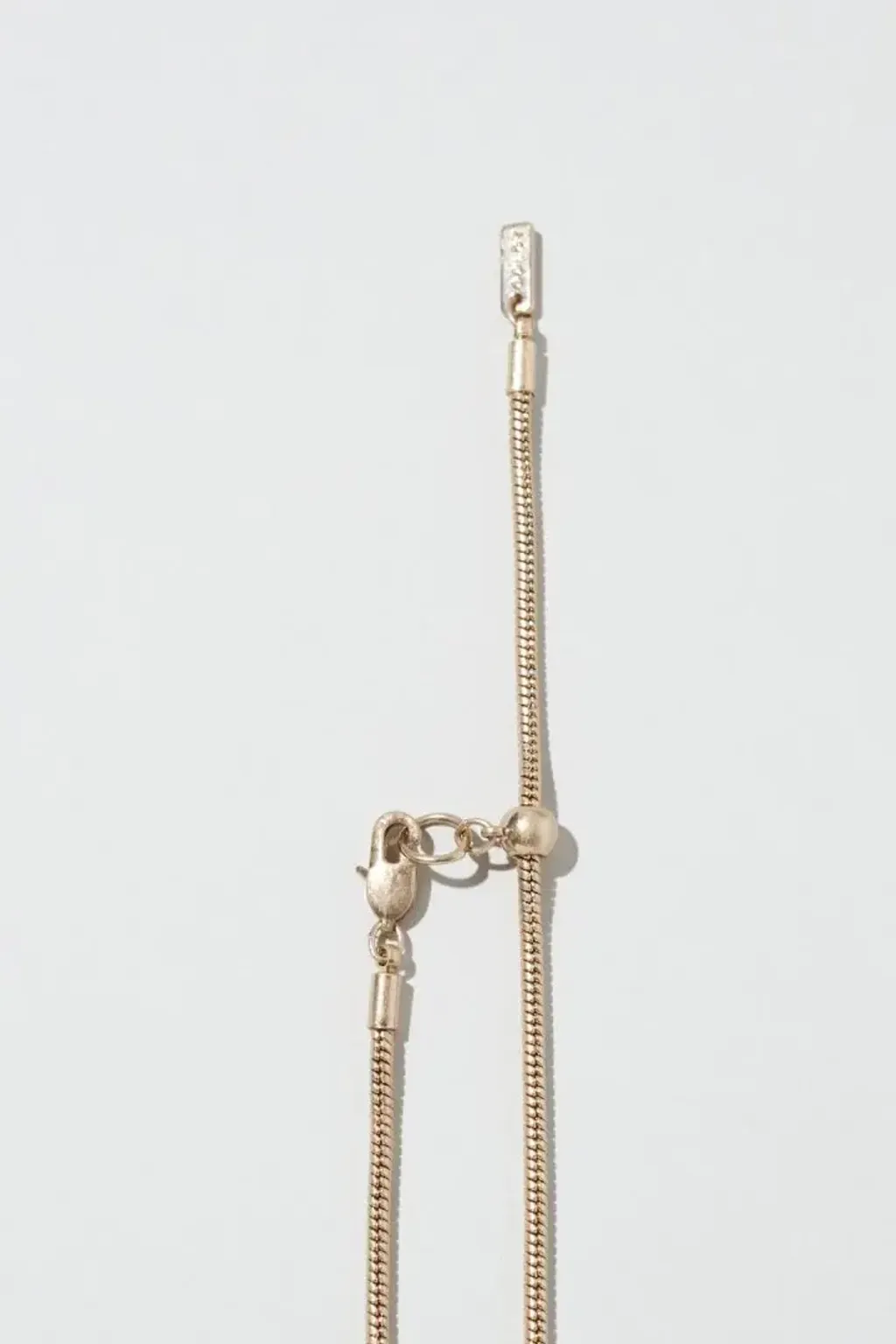 image_FD9CBFB5-4923-4501-90E8-7A571D6F2118_1764741638