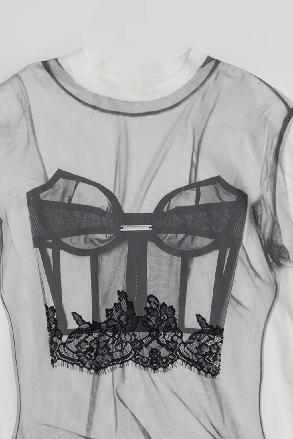 image_8902D92E-B551-4902-9682-BAAB5A824BA2_1764931302