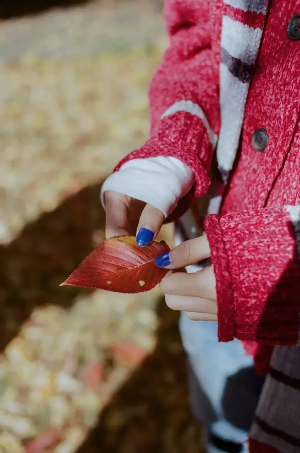 image_EA21397F-21ED-4AE6-AE14-09896AF78833_1765554248