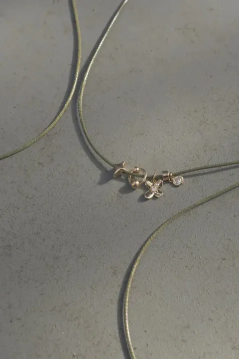 image_28685E17-CBA6-4F80-B215-64E5D14BC506_1765556940