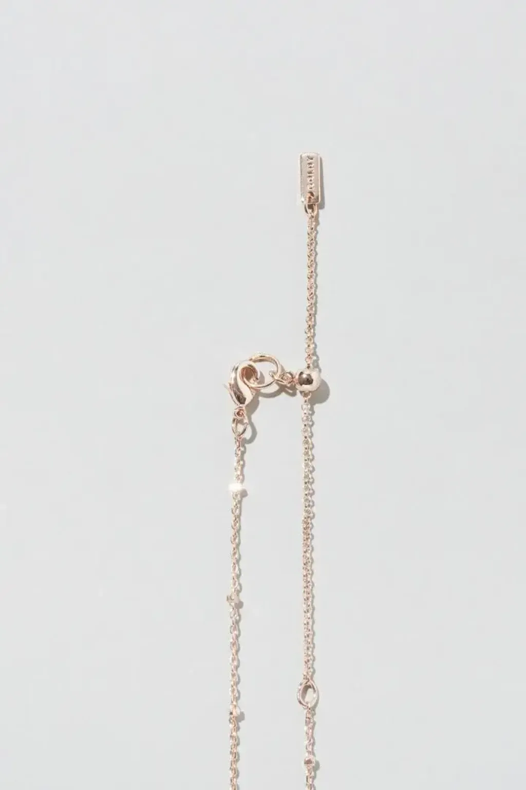 image_9DCBCFBC-97E0-4178-B262-A52CAEE23AA2_1765557377