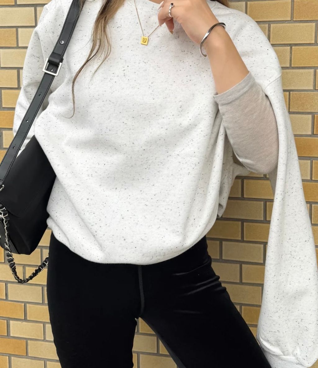 image_1A3BAD2C-2A85-4F04-8673-AC0CF9949D2A_1768213417