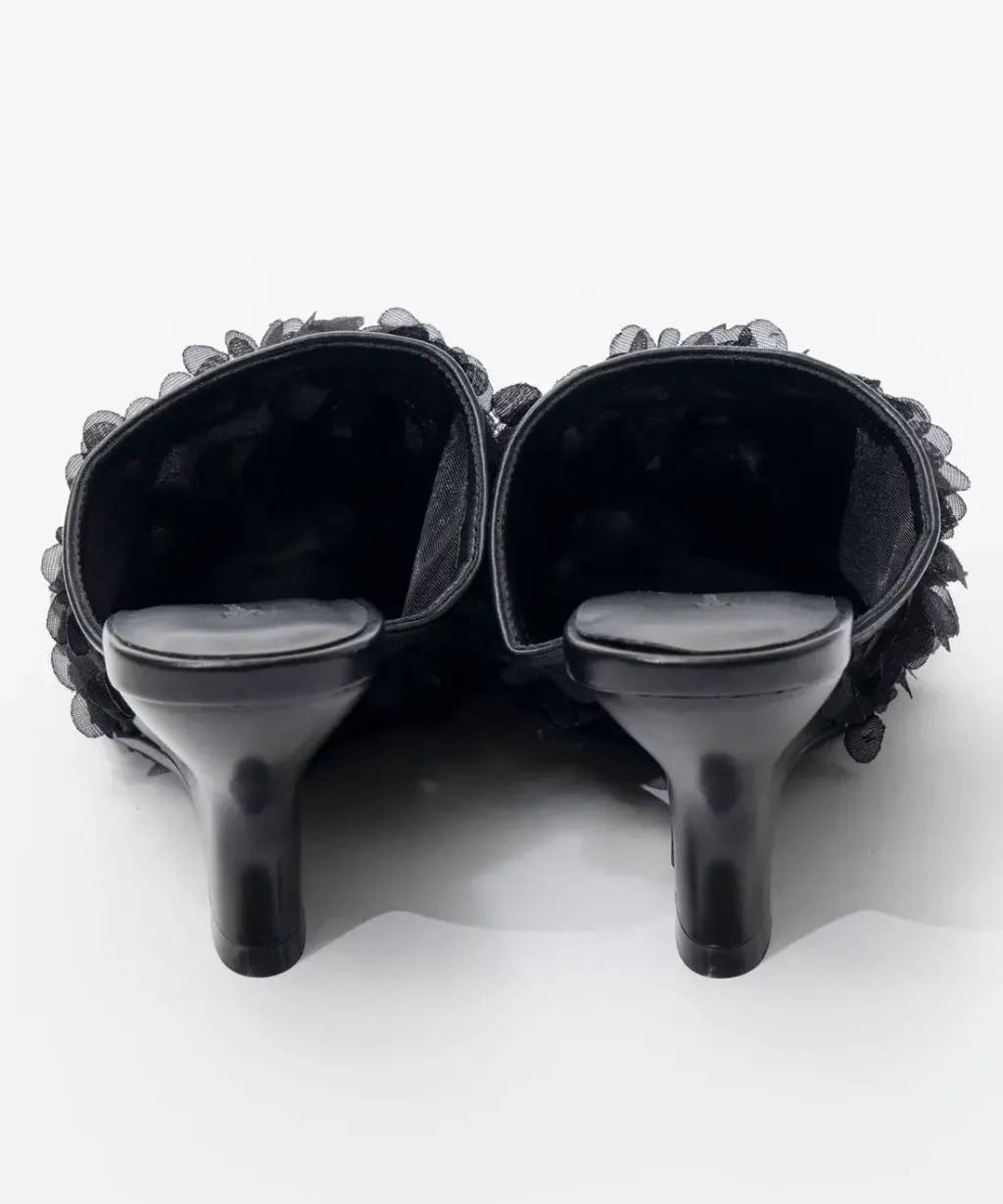 image_110DC9D1-0A47-4D20-94D7-FBEB820E9EF2_1768729894