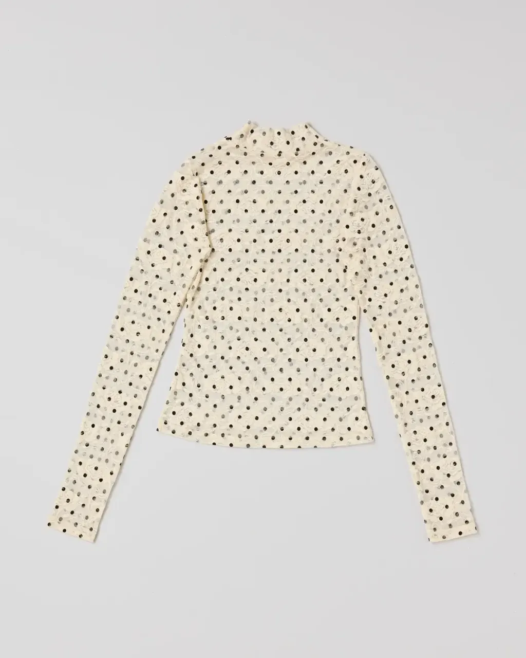 image_E4527A00-C735-4689-98D5-F27BB14F9FD4_1769146784