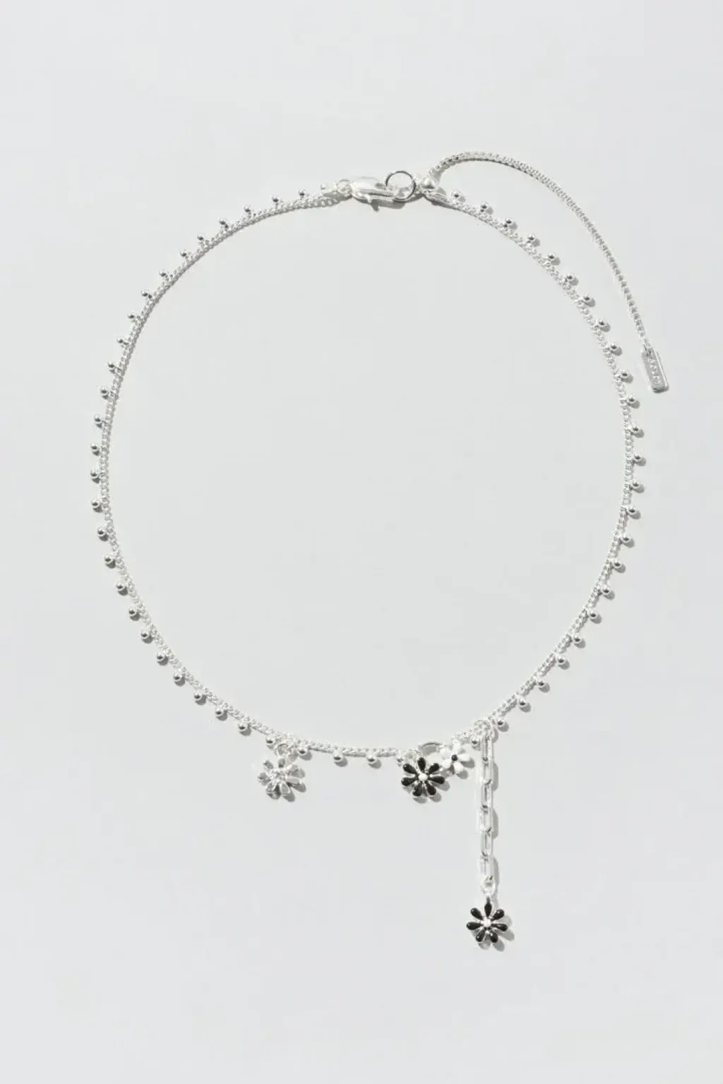 image_FC8A071C-B1A1-411E-AC1C-9D1758631EBF_1770378667